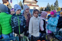 Messenger_creation_D686B036-CF5C-4232-8DEC-E2802FEB5D12 (Mały)