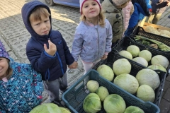 Messenger_creation_FE68DE32-00FE-4CA2-A853-6090FF594127 (Mały)