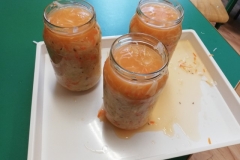 IMG_20241015_111524_resized_20241027_064524687 (Mały)