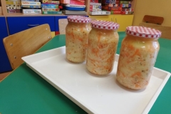 IMG_20241015_112325_resized_20241027_064528623 (Mały)