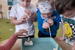 Messenger_creation_F1E35E8A-0767-4FC3-BD2F-8F0BA0ED6C90 (Mały)