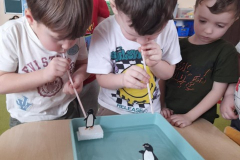 Messenger_creation_FAF9B1FB-50AA-4A89-AC87-320BA6ABAFBC (Mały)