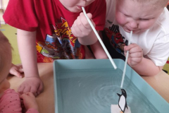 Messenger_creation_FAF9B1FB-50AA-4A89-AC87-320BA6ABAFBD (Mały)