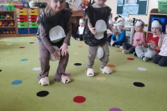 Messenger_creation_FDDE8009-EA52-4E9B-8913-77822E4A16DE (Mały)