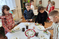 IMG_20251218_111742 (Mały)