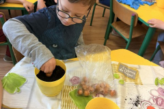 Messenger_creation_8DBF2BC8-AA1B-4D40-B280-D0902735A9CB (Mały)