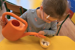 Messenger_creation_BC9A8A86-1C96-4CA1-9DB3-9F283A5D08B6 (Mały)