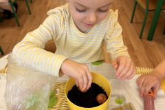 Messenger_creation_CCEB56E3-2CF6-4604-A1F0-79761B63B046 (Mały)