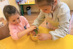 Messenger_creation_DB21A63B-8D61-49A5-96C3-F6EAC57BF9E8 (Mały)