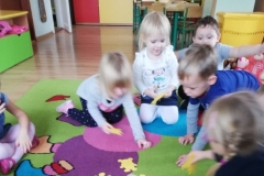 IMG_20191125_101650_resized_20191202_041831897 (Mały)