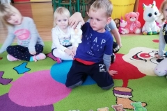 IMG_20191125_102646_resized_20191202_041834375 (Mały)