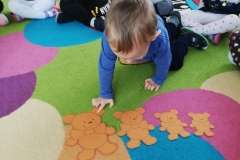 IMG_20191125_103401_resized_20191202_041935222 (Mały)