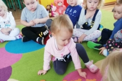 IMG_20191125_103443_resized_20191202_041931547 (Mały)