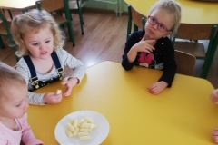 IMG_20191125_104512_resized_20191202_041933998 (Mały)