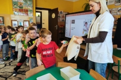 Messenger_creation_12E85FAC-AF0C-4F64-9D14-44181352B45E (Mały)