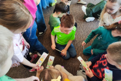 IMG_20260320_104036 (Mały)