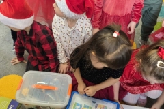 Messenger_creation_35 (5) (Mały)