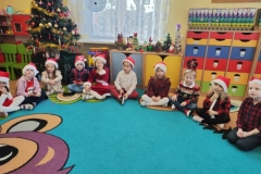 IMG_20241206_093042 (Mały)