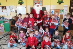 IMG_20241206_095010_resized_20241210_052100532 (Mały)