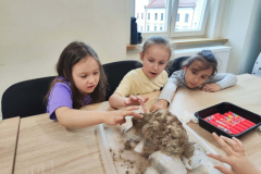 IMG20260610_120641 (Mały)