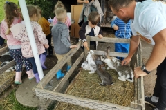 IMG_20250603_115321509_HDR (Mały)