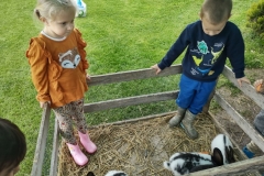 IMG_20250603_115523925_HDR (Mały)