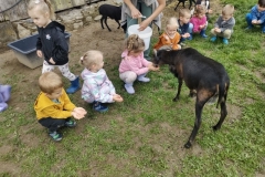 IMG_20250603_122354383_HDR (Mały)