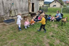 IMG_20250603_122425906_HDR (Mały)