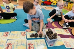 Messenger_creation_09C29579-403B-4A02-ABD0-D7C71A144004 (Mały)