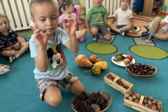 Messenger_creation_2D1C8E0E-93BC-44D6-8333-4DCADC307E61 (Mały)