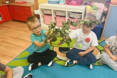 Messenger_creation_639A8A61-79BF-4031-B7A4-6B0484C8FDF7 (Mały)