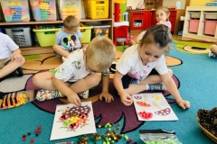 Messenger_creation_D464850B-BC82-4268-BDFE-B43C3355447E (Mały)