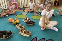 Messenger_creation_E3BB9B8D-6B78-443A-904A-FE7AB8EFD8AB (Mały)