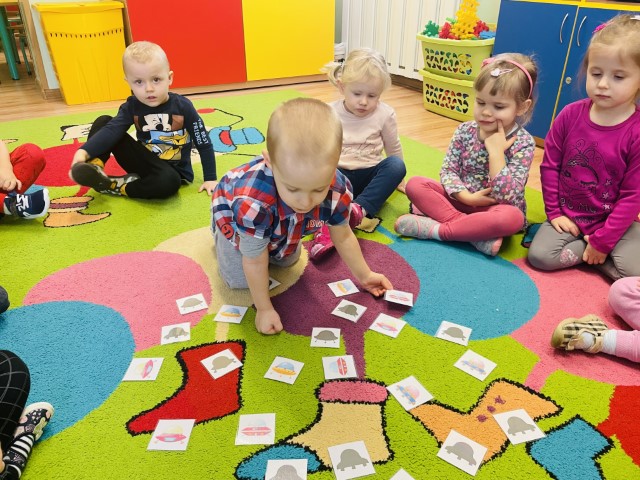 Pszczółki poznają kosmos